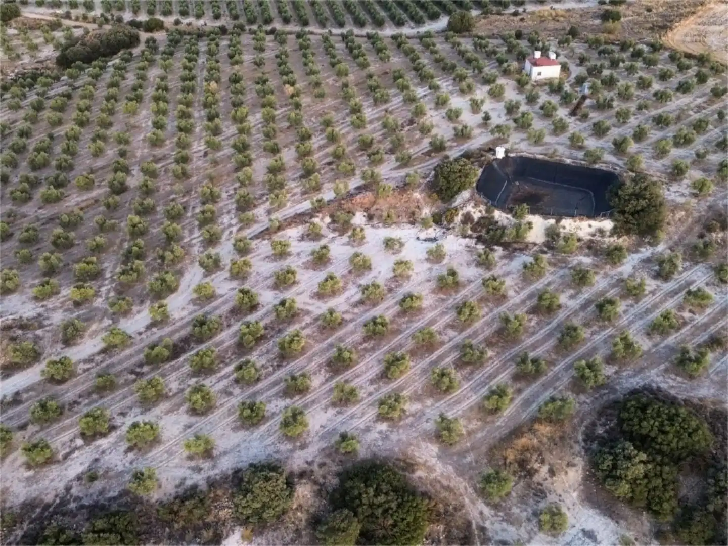 Finca rústica en venda a Callejon Barbero, 17, Alamedilla Finca rústica en venda en Alamedilla