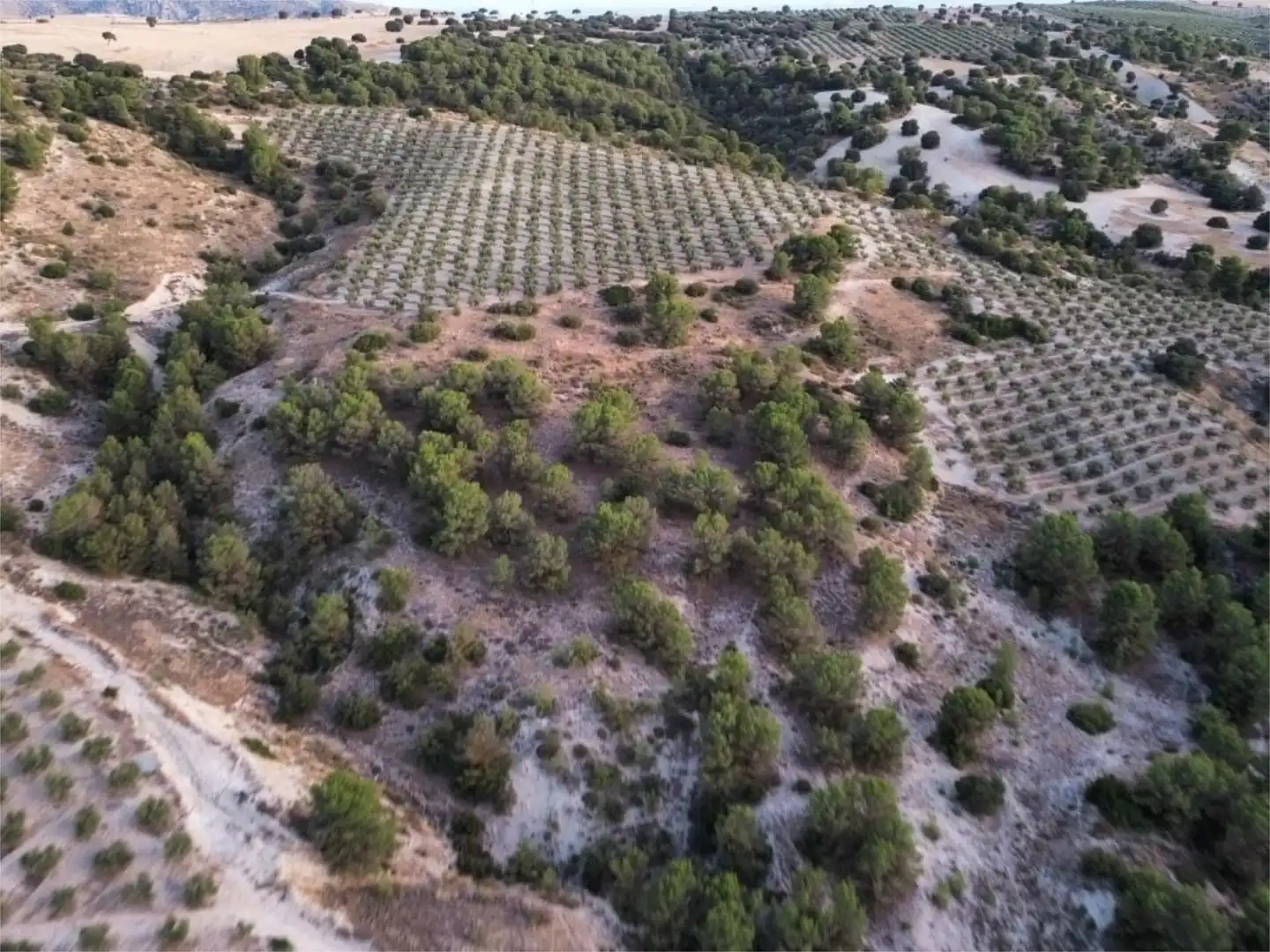 Finca rústica en venda a Callejon Barbero, 17, Alamedilla Finca rústica en venda en Alamedilla