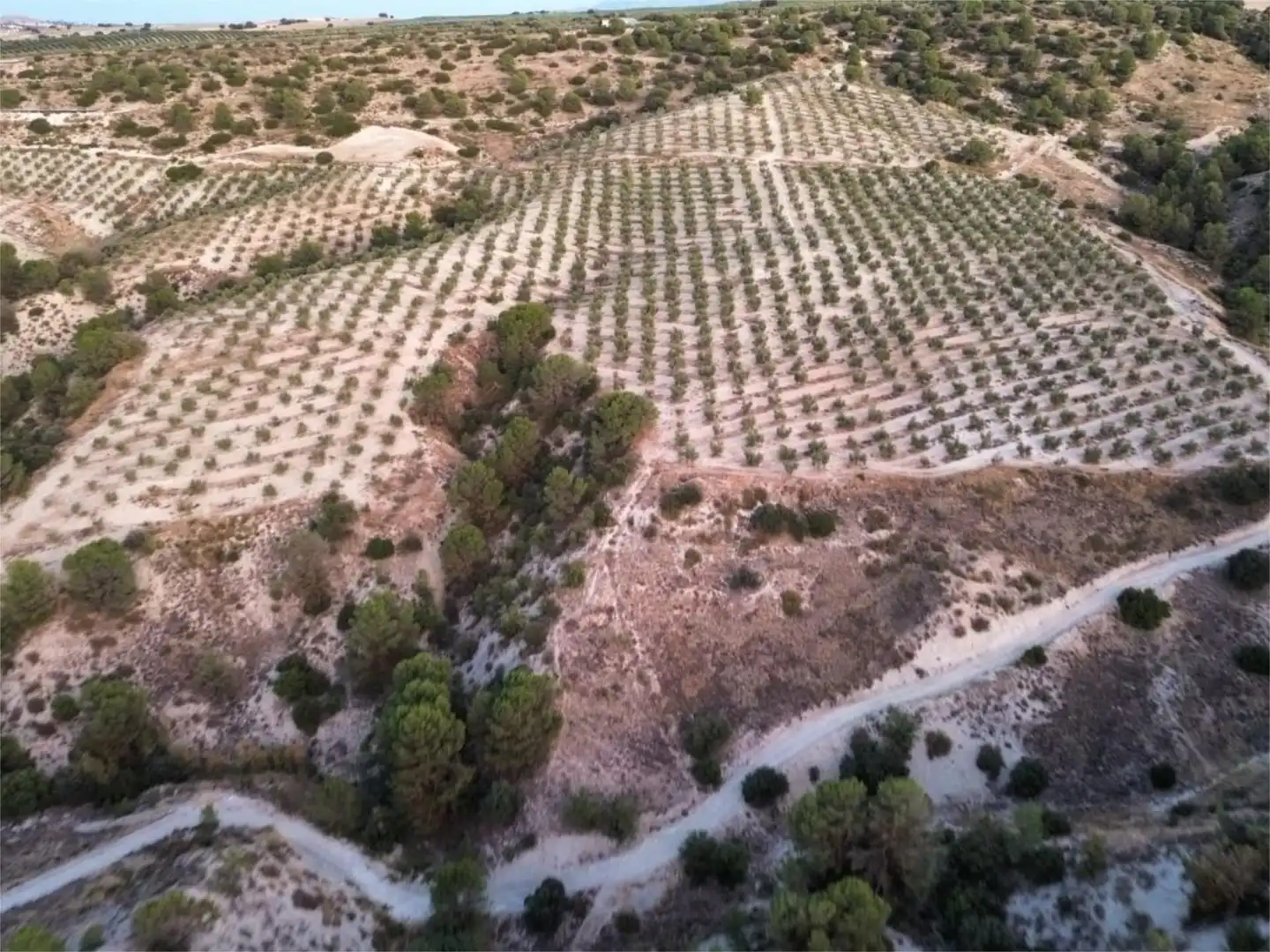 Finca rústica en venda a Callejon Barbero, 17, Alamedilla Finca rústica en venda en Alamedilla