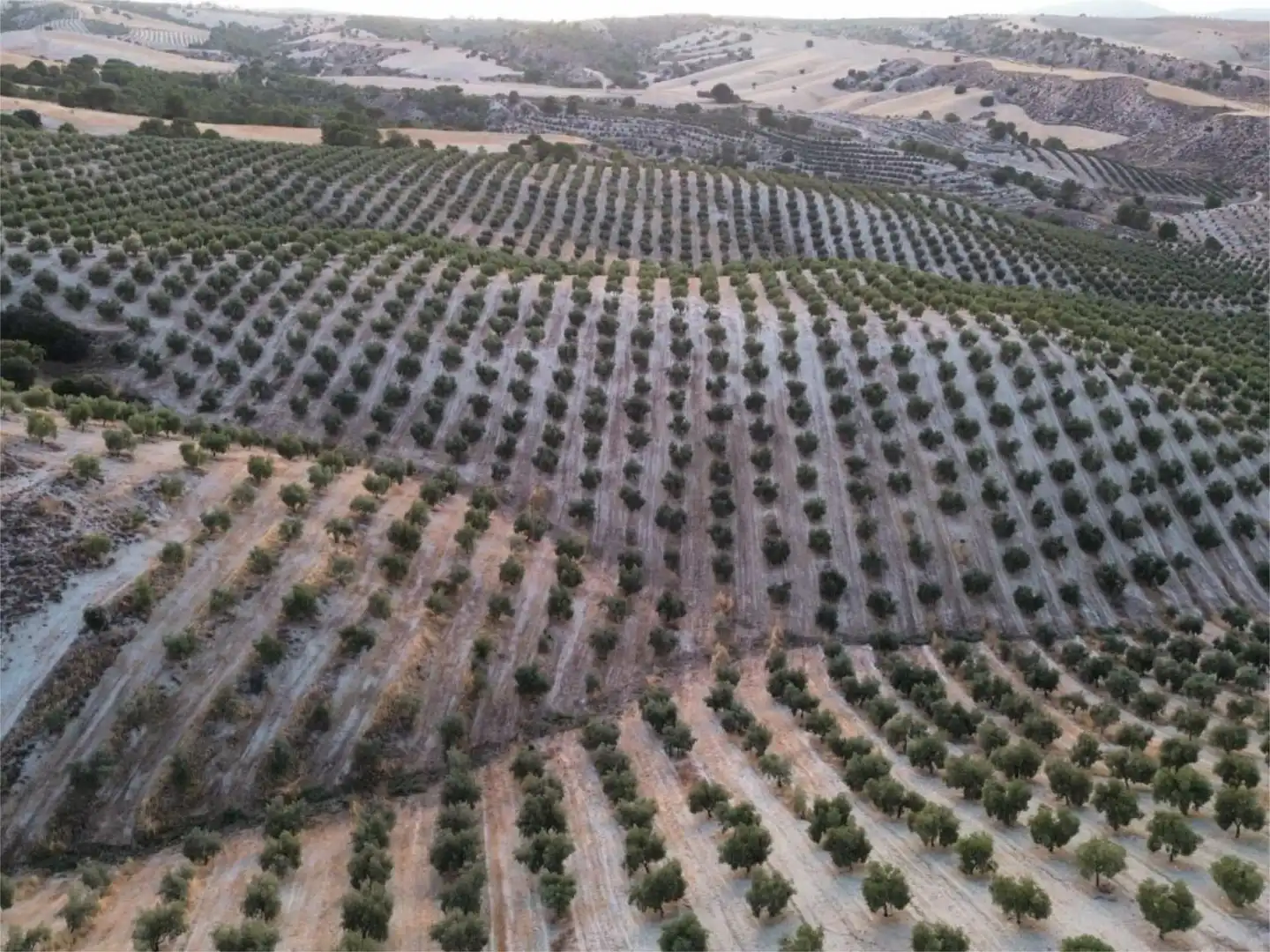 Finca rústica en venda a Callejon Barbero, 17, Alamedilla Finca rústica en venda en Alamedilla