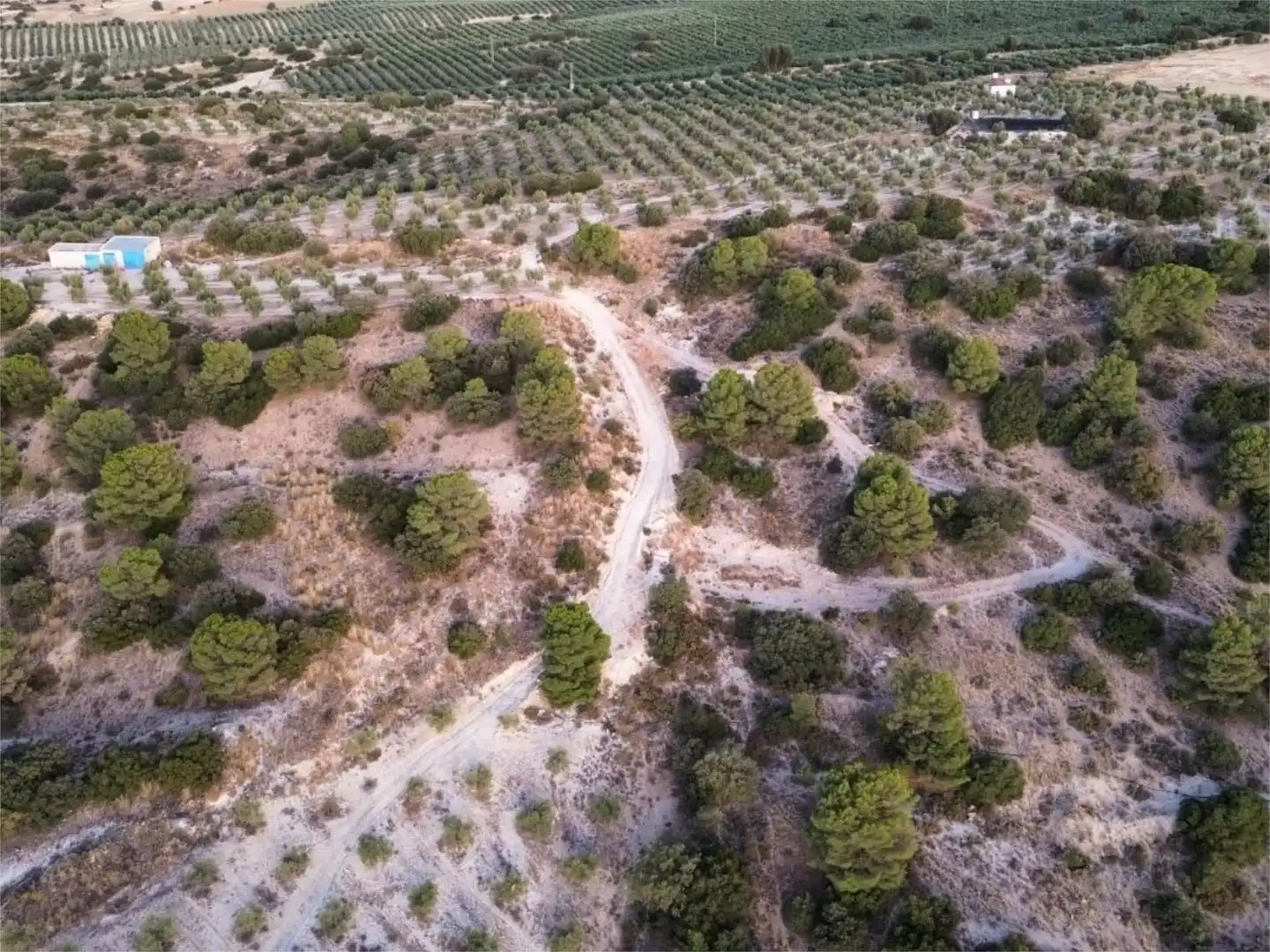 Finca rústica en venda a Callejon Barbero, 17, Alamedilla Finca rústica en venda en Alamedilla