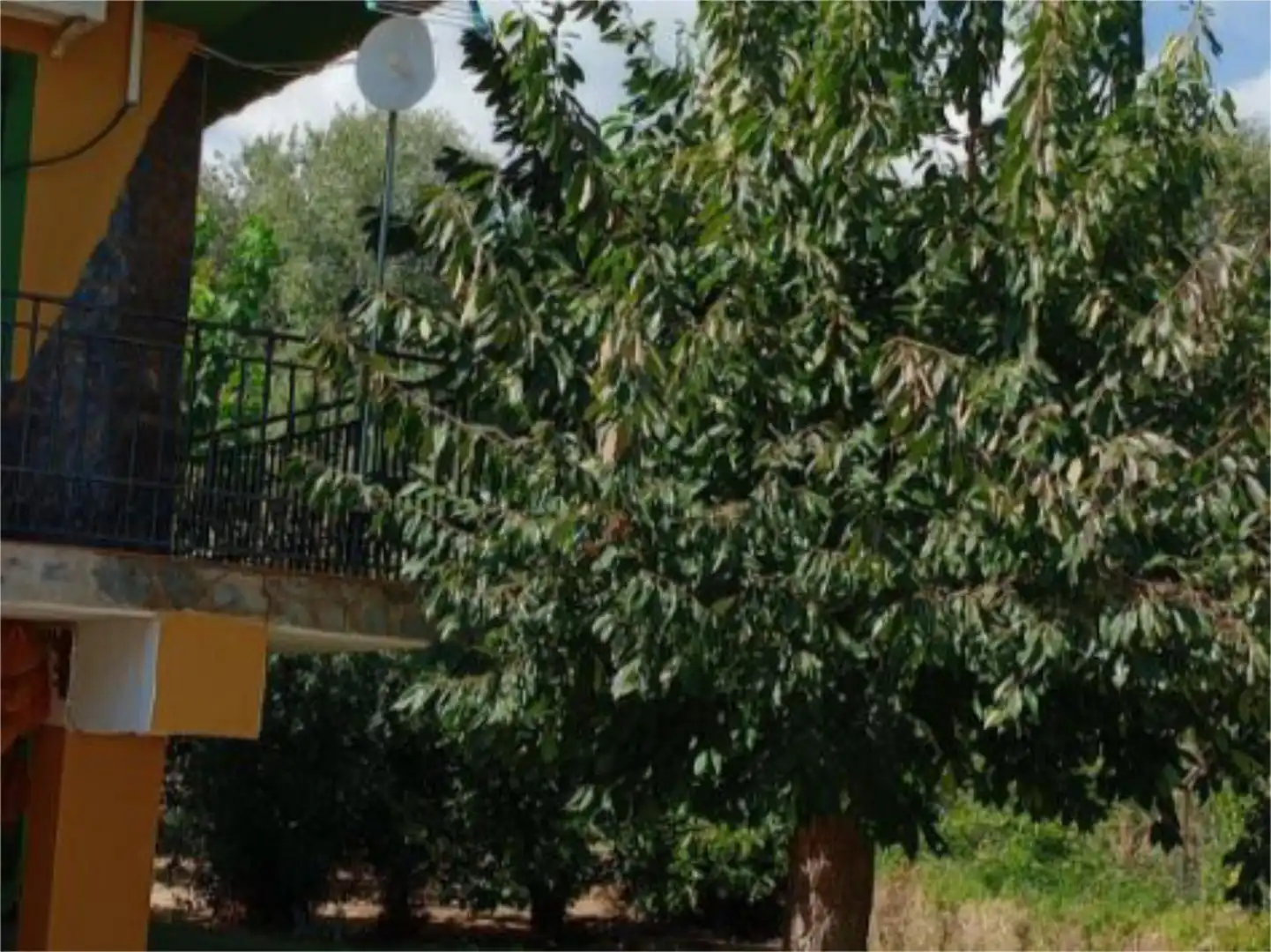 Wohnung zum Verkauf in Carretera Puente de la Sierra, 31, Puente Jontoya - Puente de la Sierra - El Arroyo Wohnung zum Verkauf in Jaén mit Klimaanlage, Privatgarten und Terrasse
