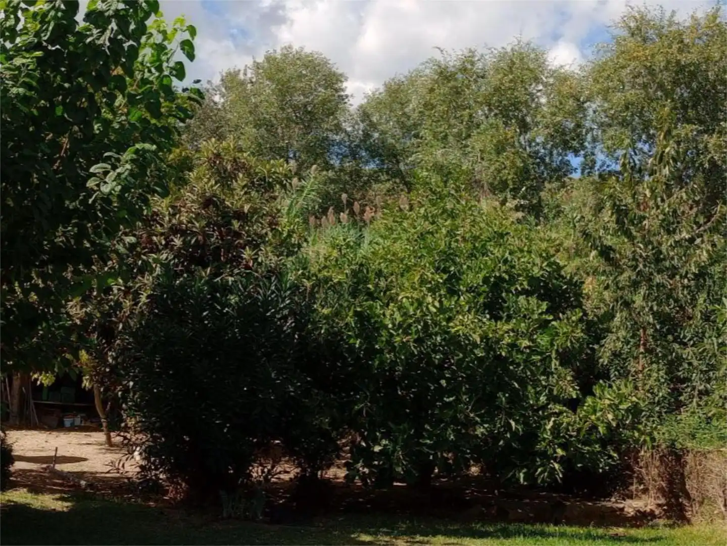 Wohnung zum Verkauf in Carretera Puente de la Sierra, 31, Puente Jontoya - Puente de la Sierra - El Arroyo Wohnung zum Verkauf in Jaén mit Klimaanlage, Privatgarten und Terrasse