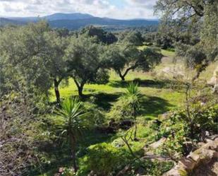 Garten von Haus oder Chalet miete in Montánchez mit Schwimmbad