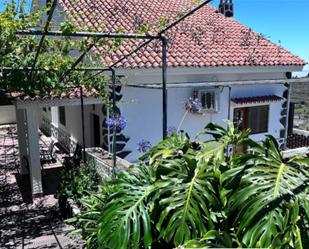 Jardí de Casa o xalet en venda en Vega de San Mateo amb Aire condicionat, Terrassa i Piscina