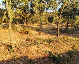 Urbanitzable en venda en San Román de los Montes