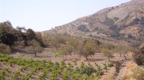 Photo 3 of Country house for sale in Lugar Cortijo Garcia Berdevique, 1, Cástaras, Granada