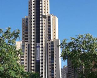 Vista exterior de Pis de lloguer en Benidorm amb Aire condicionat, Terrassa i Piscina