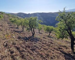 Finca rústica en venda en Cástaras