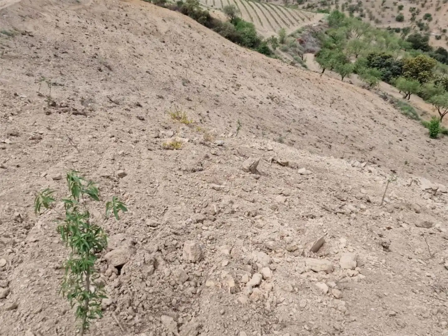 Finca rústica en venta en Cástaras