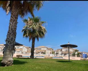 Vista exterior de Casa o xalet en venda en Torrevieja amb Aire condicionat, Terrassa i Piscina