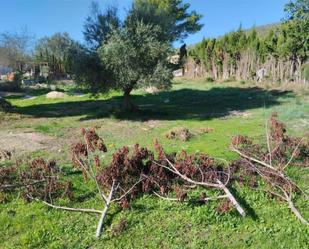 Finca rústica en venda en El Montmell