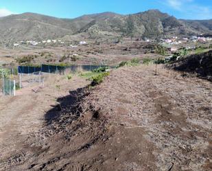 Terreny en venda a Calle Buenavista del Norte, 49, Buenavista del Norte