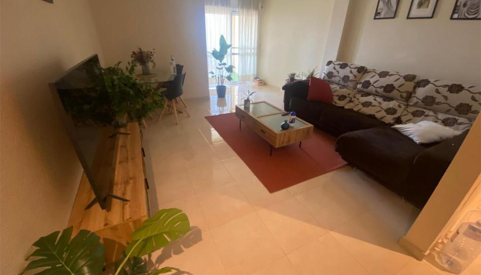 Flat for sale in Carretera de la Pulgara, 12, Marchena, Murcia - image 1 Photo 1 of Flat for sale in Carretera de la Pulgara, 12, Marchena, Murcia