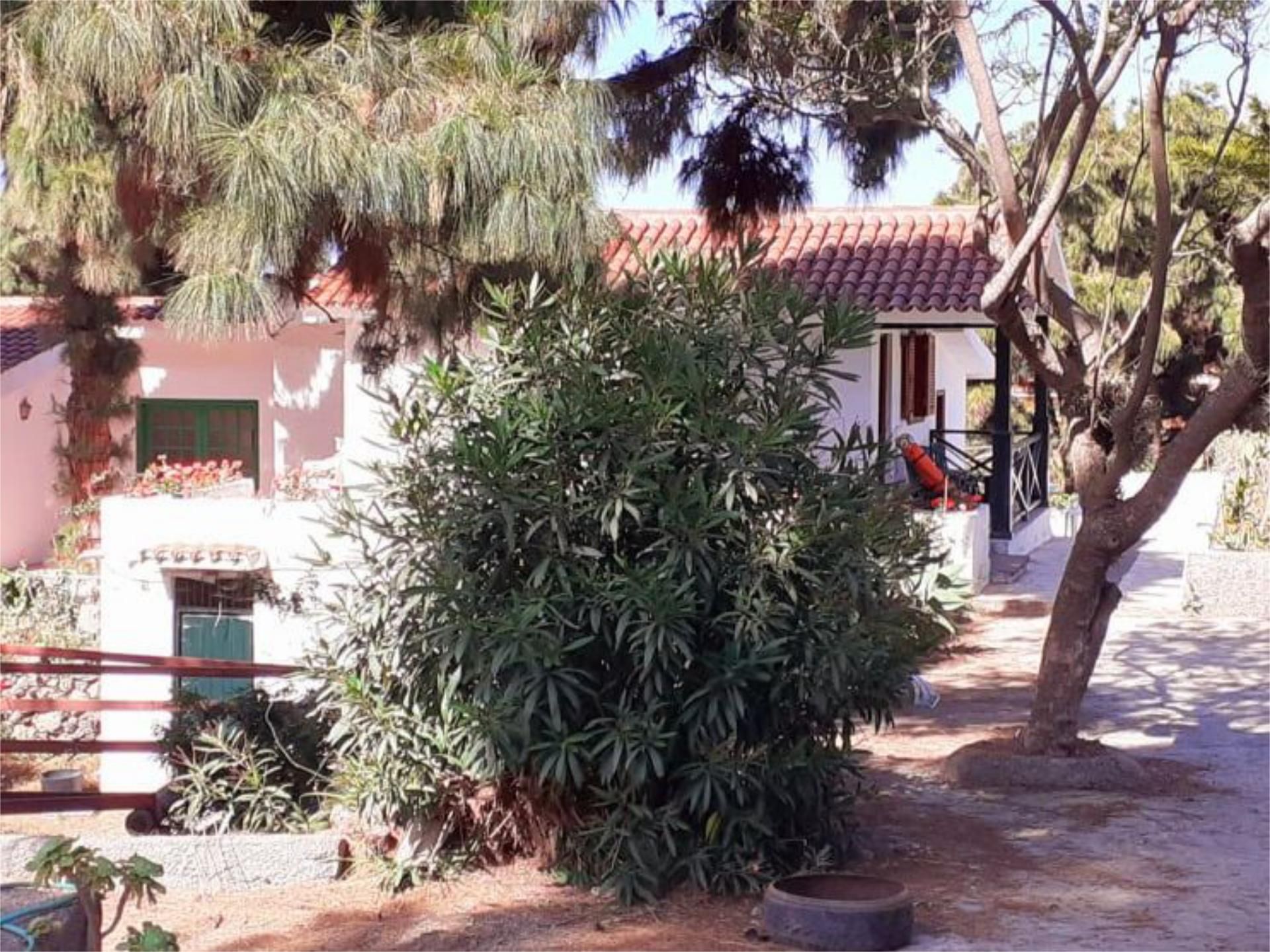 Jardí de Finca rústica en venda en Icod de los Vinos amb Jardí privat, Parquet i Terrassa