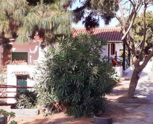 Garden of Country house for sale in Icod de los Vinos  with Private garden, Parquet flooring and Terrace