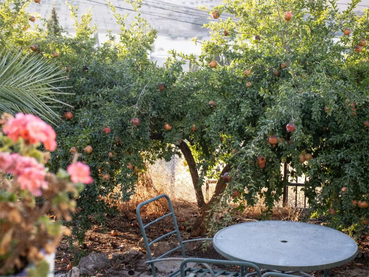 Finca rústica en venda a Camino Canela, 5, Íllora Jardí de Finca rústica en venda en Íllora amb Aire condicionat, Terrassa i Piscina