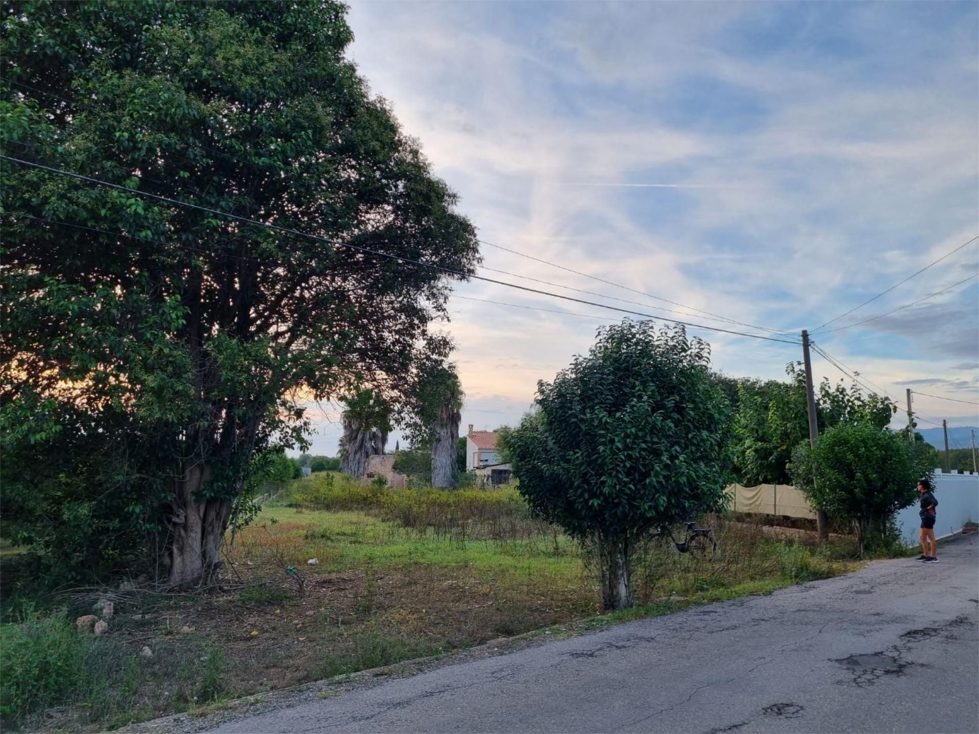 Non-constructible Land for sale in Castellón de la Plana / Castelló de la Plana