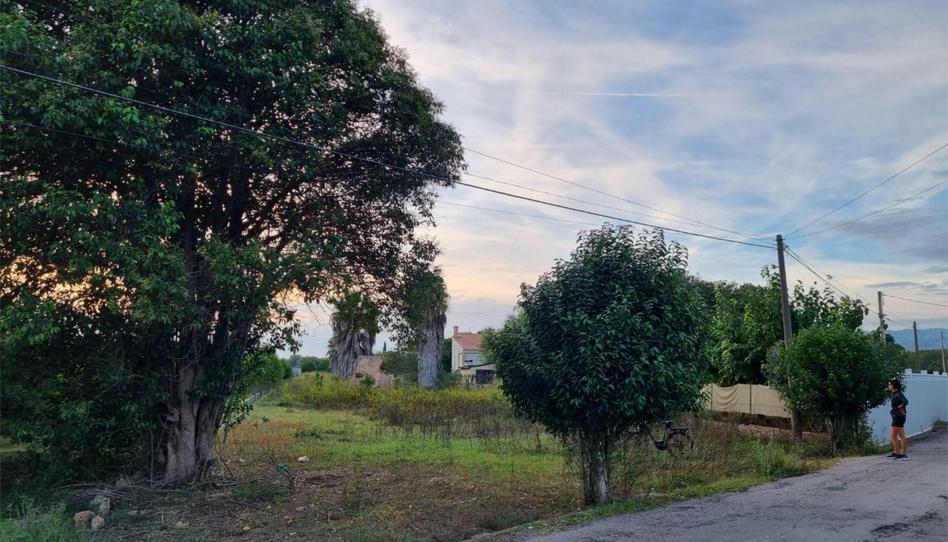 Foto 1 de No Urbanizable en venta en Camí de la Donació, 469, El Grao, Castellón