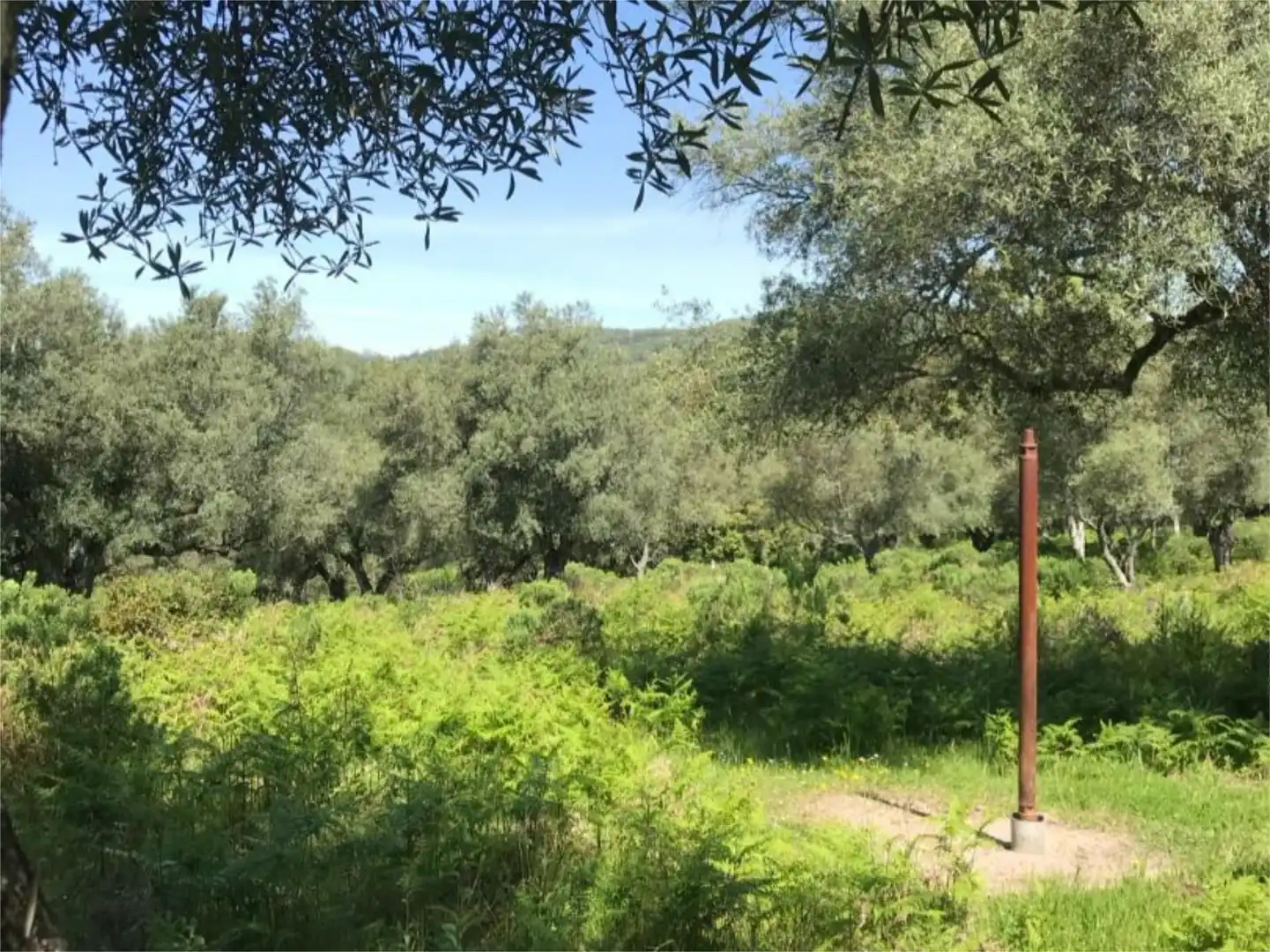 Land for sale in Calle San Marcos, 5, Calera de León Land for sale in Calera de León