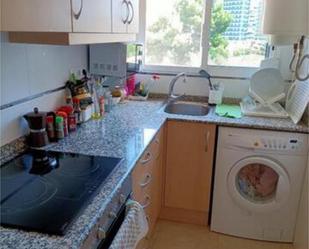 Kitchen of Apartment to rent in Benicasim / Benicàssim  with Swimming Pool