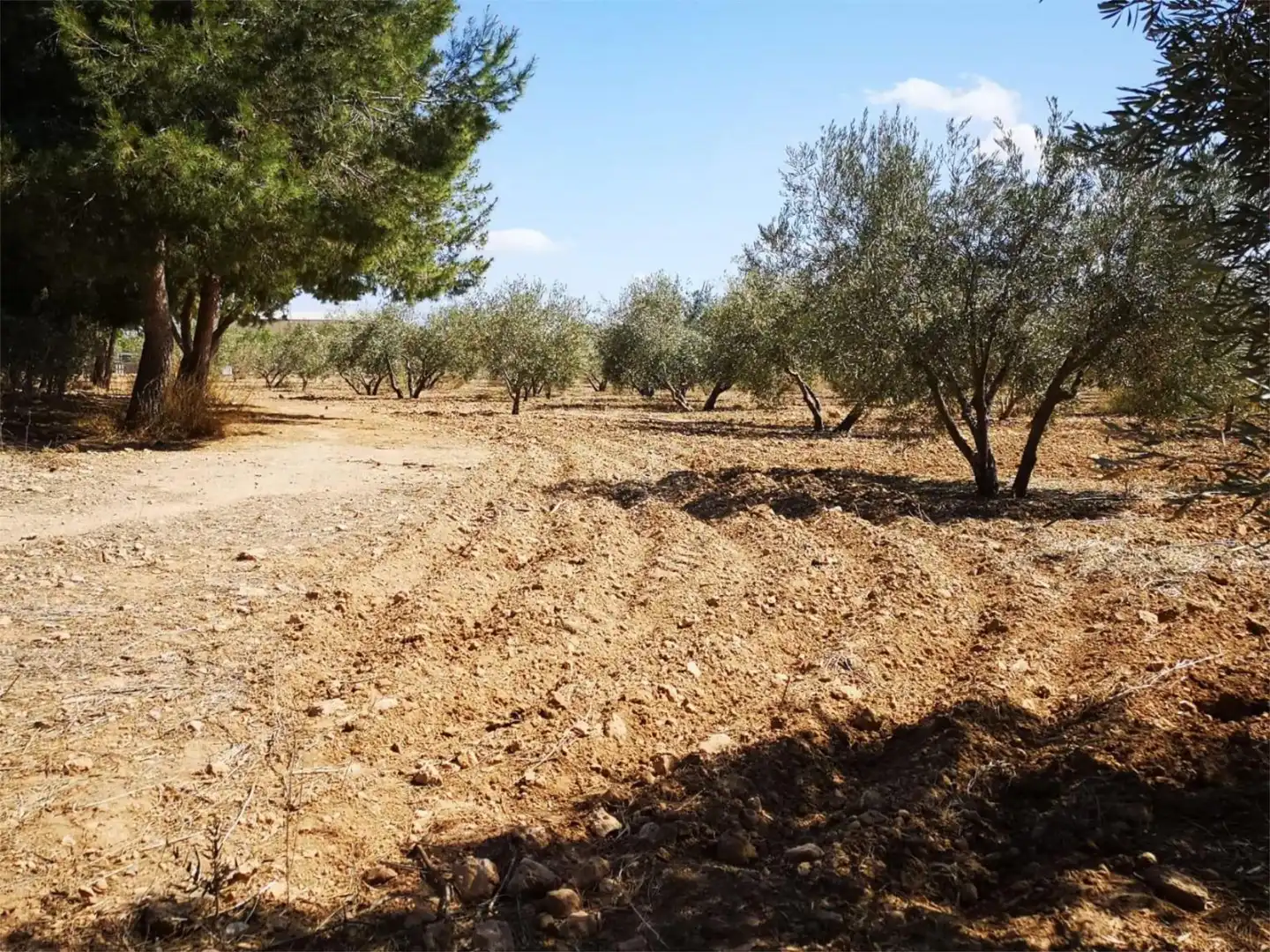 Casa o xalet en venda a Pasaje Vegas, 12, Hacienda del Álamo Golf Casa o xalet en venda en Fuente Álamo de Murcia amb Aire condicionat, Terrassa i Piscina