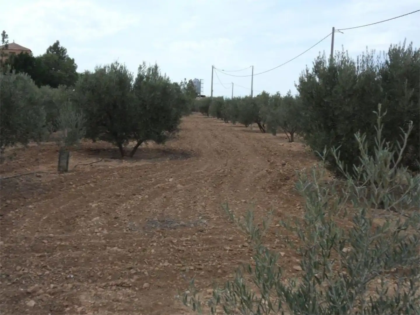 Casa o xalet en venda a Pasaje Vegas, 12, Hacienda del Álamo Golf Casa o xalet en venda en Fuente Álamo de Murcia amb Aire condicionat, Terrassa i Piscina