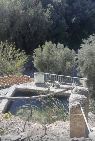 Terreno en Venta en Albanchez de Mágina