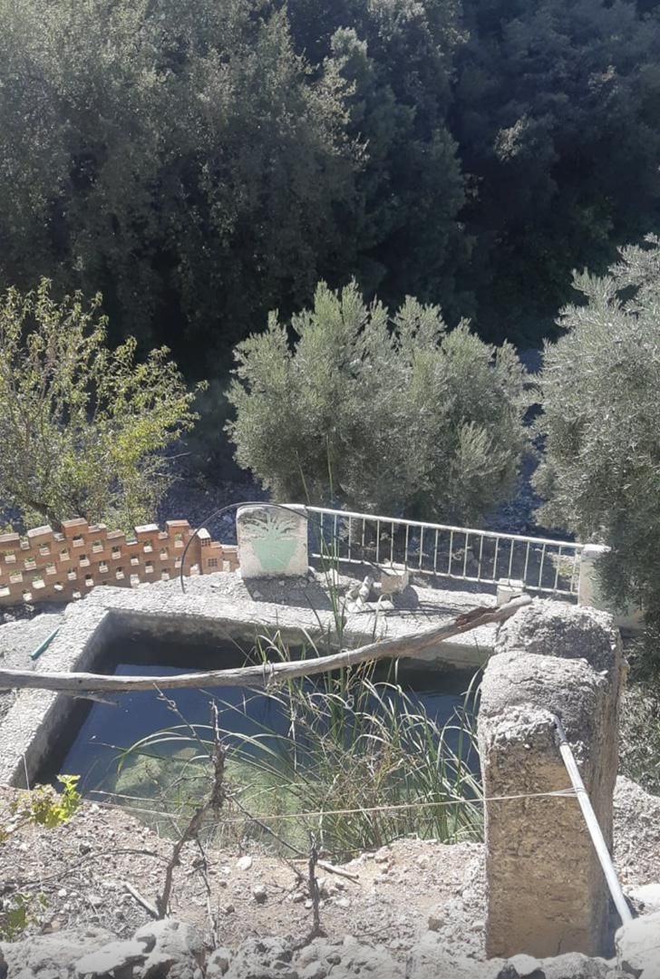 Garden of Land for sale in Albanchez de Mágina