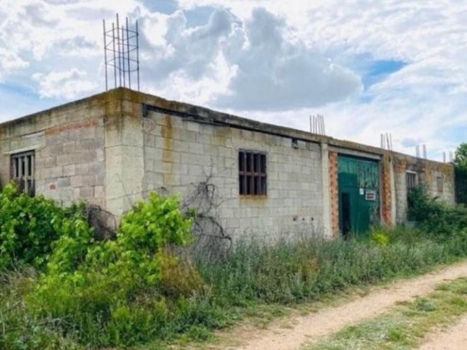 Exterior view of Country house for sale in Figueruelas  with Private garden