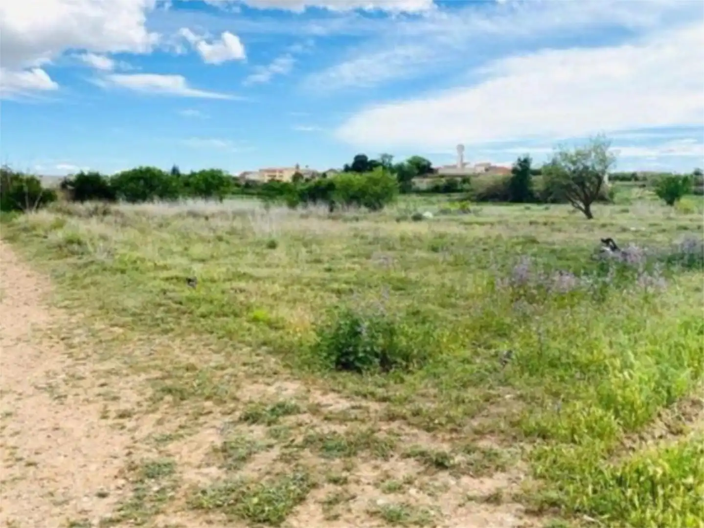 Finca rústica en venda a Calle Calvario, 15, Figueruelas Finca rústica en venda en Figueruelas