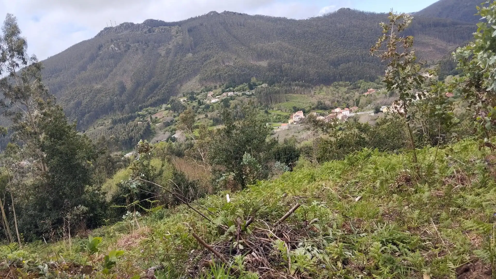 Land for sale in Cariño