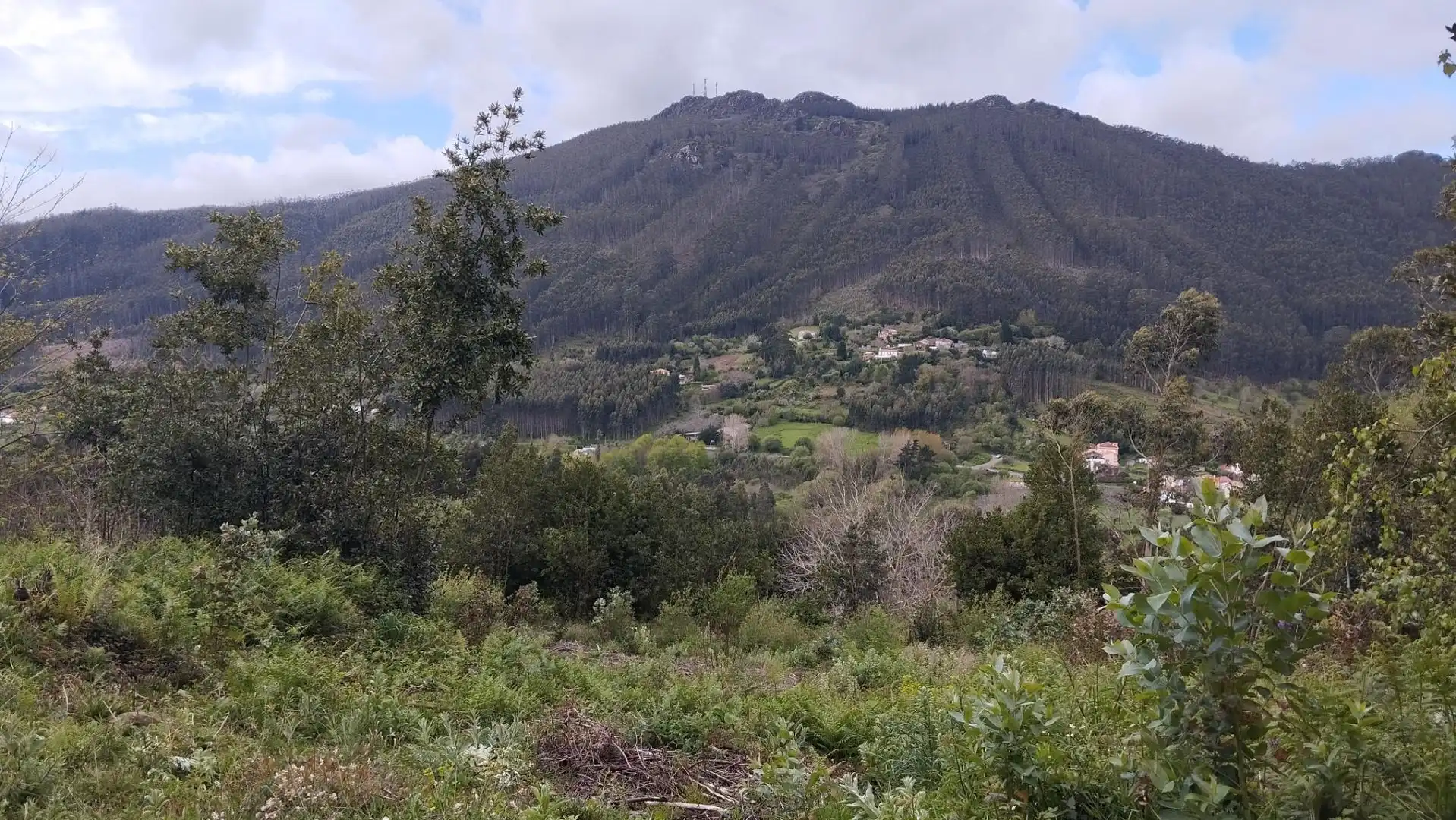 Land for sale in Cariño