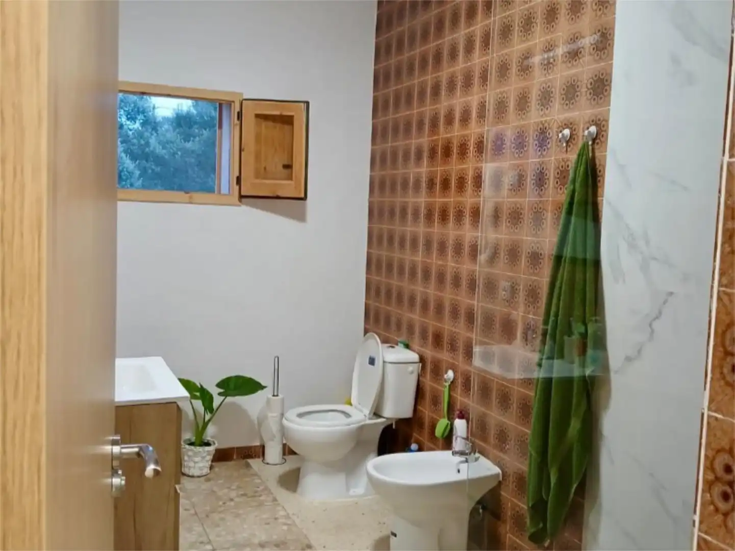 Bany de Casa o xalet en venda en Carbellino amb Jardí privat i Moblat
