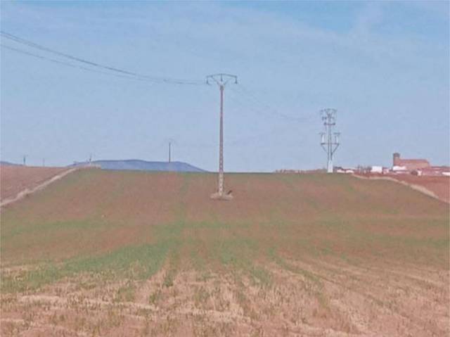 Terreno en Venta en Calle Mayor, 65 en Cózar