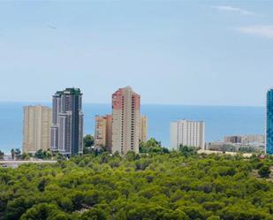 Vista exterior de Apartament en venda en Benidorm amb Jardí privat, Terrassa i Piscina