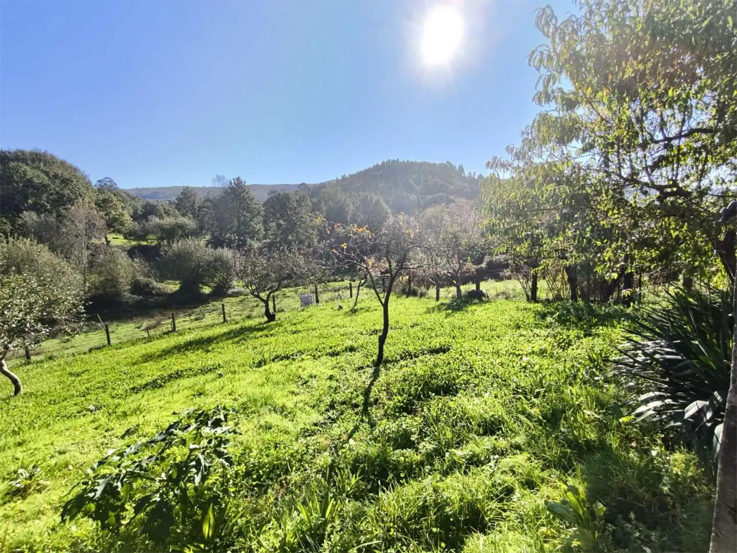Casa o chalet en venta en Lugar Ladeira, 1, A Lama Casa o chalet en venta en A Lama con Jardín privado, Terraza y Trastero