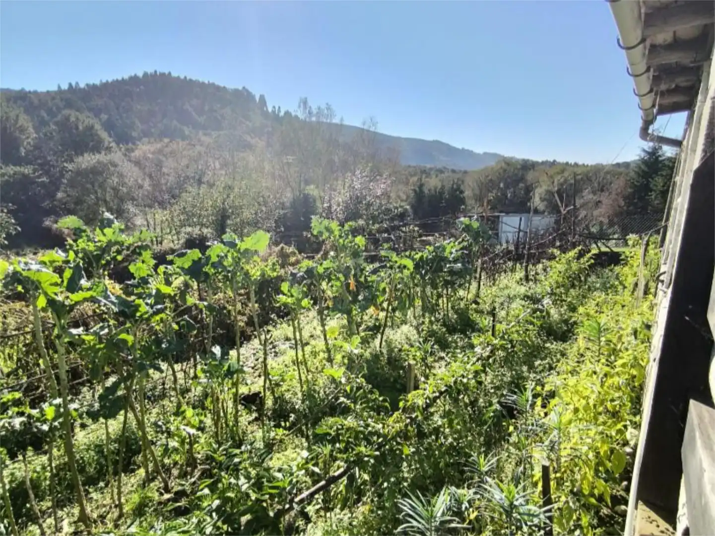 Casa o chalet en venta en Lugar Ladeira, 1, A Lama Jardín de Casa o chalet en venta en A Lama con Jardín privado, Terraza y Trastero
