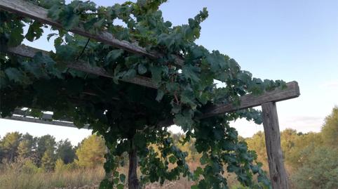 Photo 4 of Country house to share in Carrer Sant Carles, 33, Costa d'en Blanes, Illes Balears