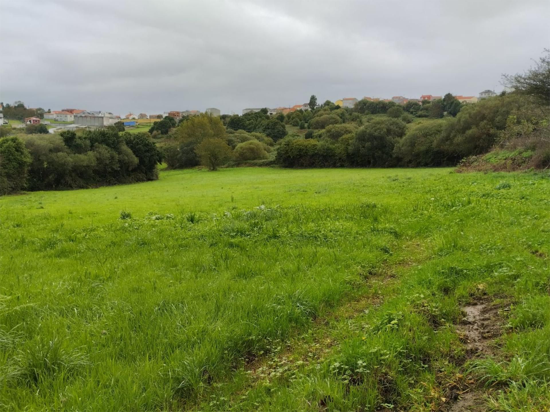 Non-constructible Land for sale in Arteixo