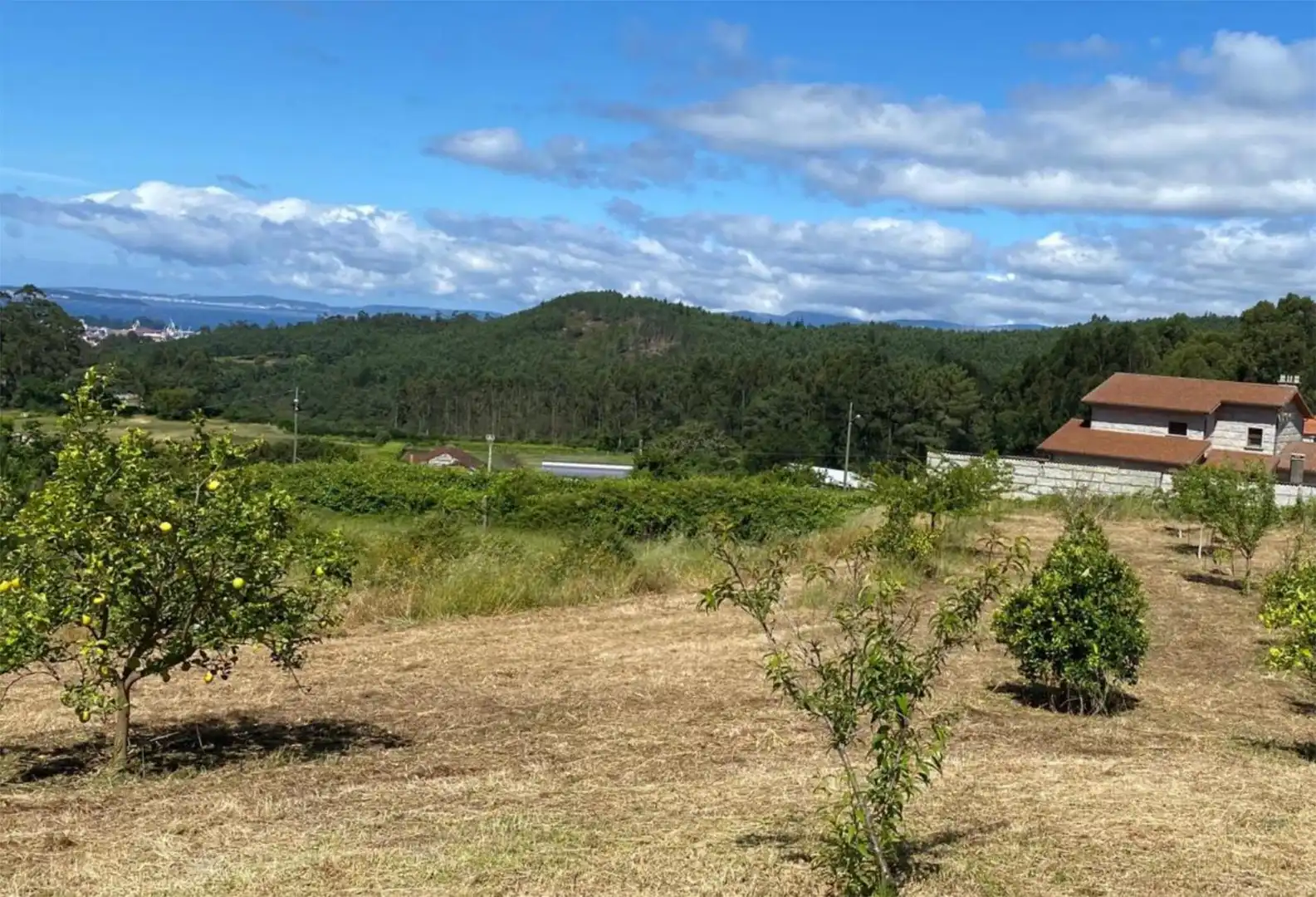 Terreno en venta en Rúa do Embalse, 18, Cea Terreno en venta en Vilagarcía de Arousa