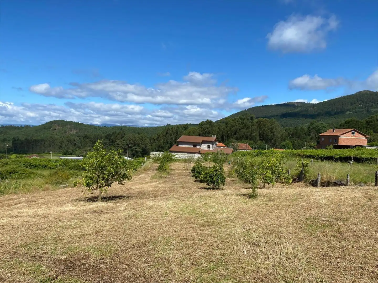 Terreno en venta en Rúa do Embalse, 18, Cea Terreno en venta en Vilagarcía de Arousa