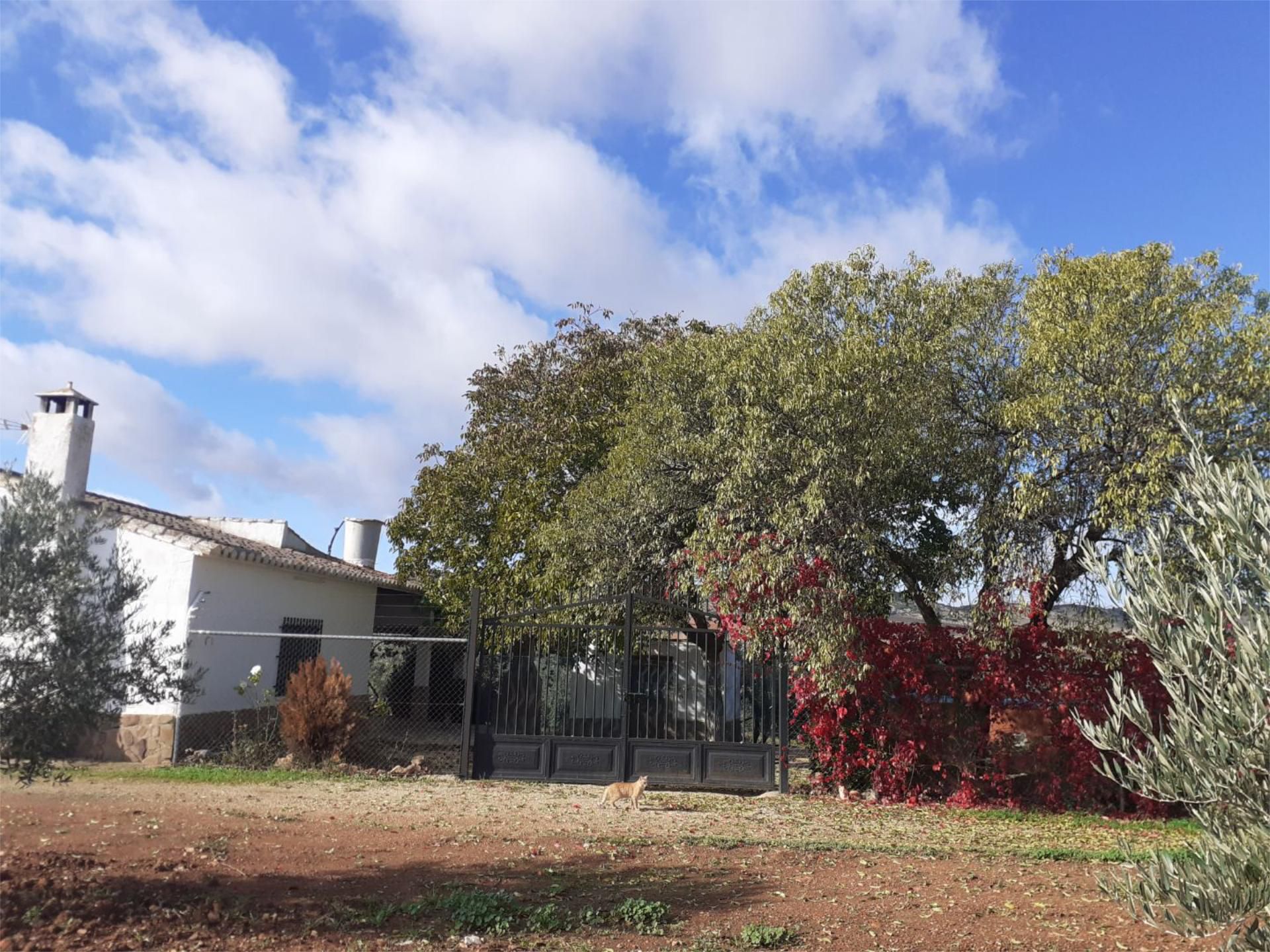 Flat for sale in Santa Cruz de Mudela  with Private garden, Swimming Pool and Furnished