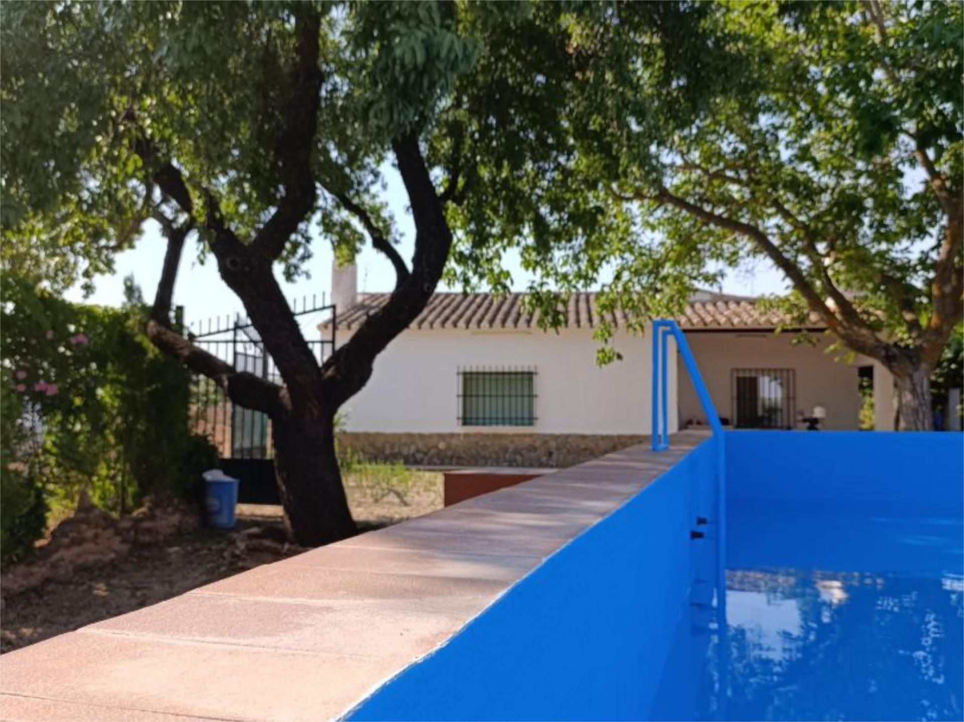Piscina de Finca rústica en venda en Santa Cruz de Mudela amb Jardí privat, Piscina i Moblat