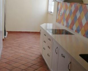 Kitchen of Flat to rent in  Sevilla Capital  with Air Conditioner and Balcony