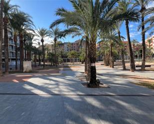 Exterior view of Flat to rent in Elche / Elx