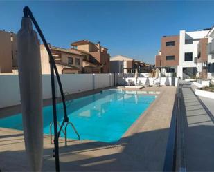 Swimming pool of Flat to rent in Armilla  with Terrace and Swimming Pool