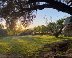 Jardí de Finca rústica en venda en Higuera de las Dueñas amb Balcó