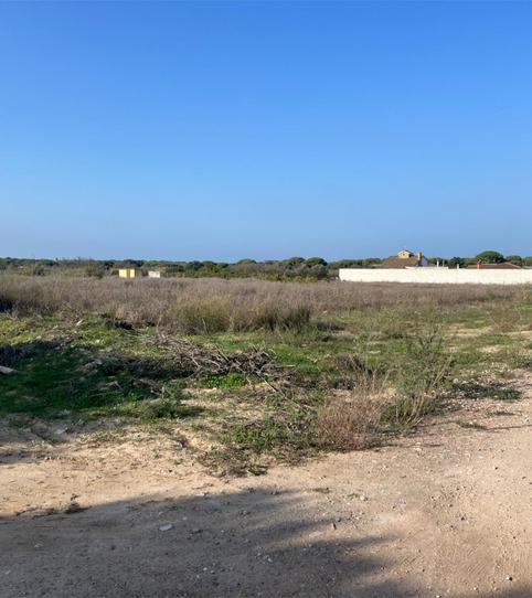 Foto 2 de Finca rústica en venta en Camino del Pozo Cardoso, 2, Las Lagunas - Campano, Cádiz