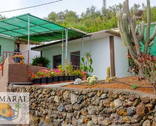 Garden of House or chalet for sale in Puntagorda  with Private garden, Terrace and Storage room